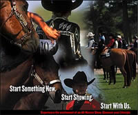 The American Quarter Horse