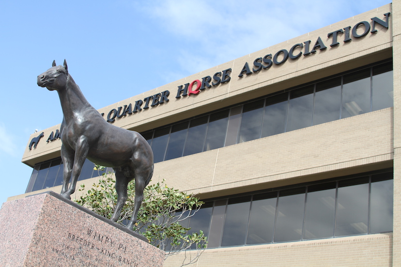 AQHA Animal Welfare