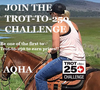 AQHA Trot 250
